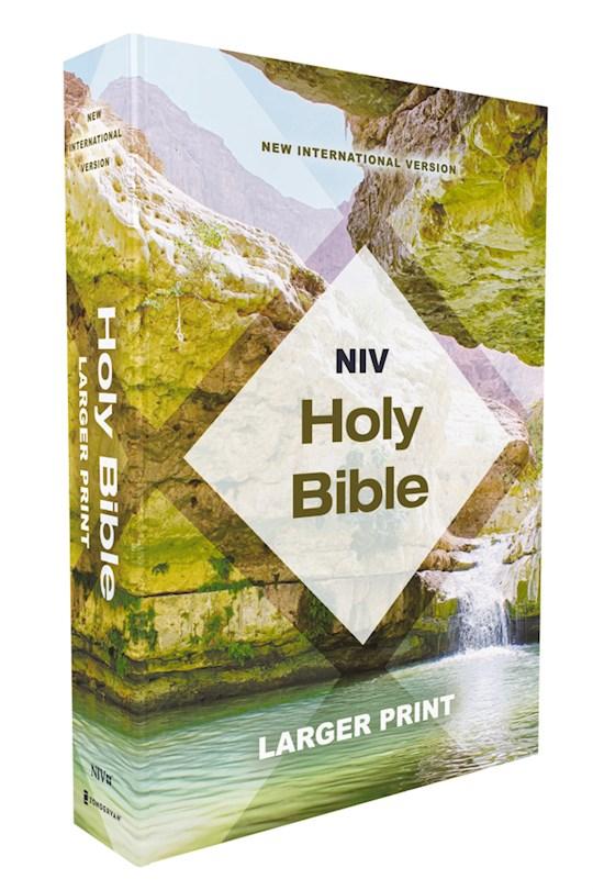 NIV Economy Holy Bible/Larger Print (Comfort Print)-Teal/Tan Paperback