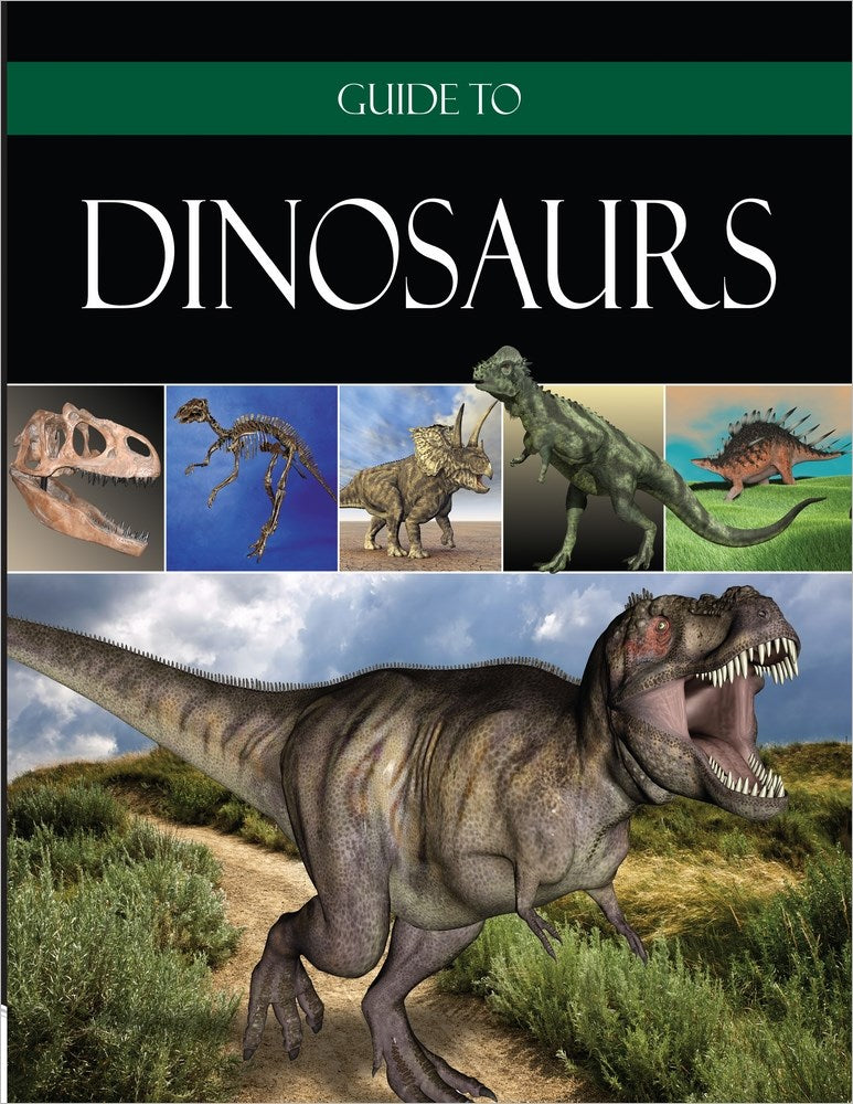 Guide To Dinosaurs