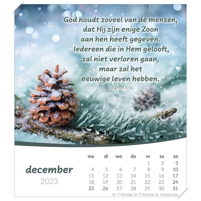 Kalender met Ansichtkaarten LEVEN, 2023 Bureau/wand kalender