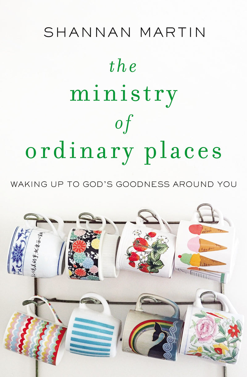 The Ministry Of Ordinary Places