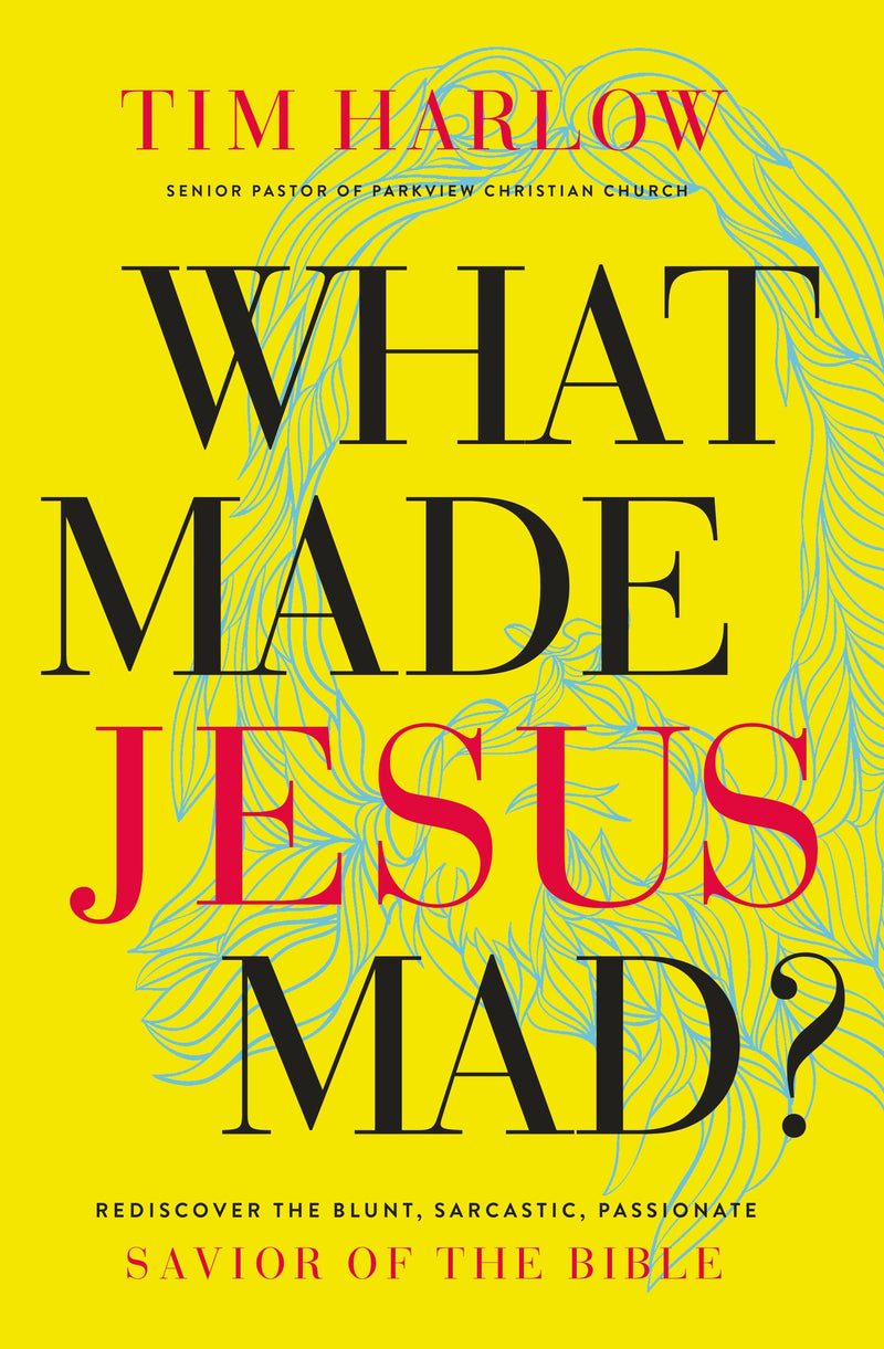 What Made Jesus Mad?-Softcover