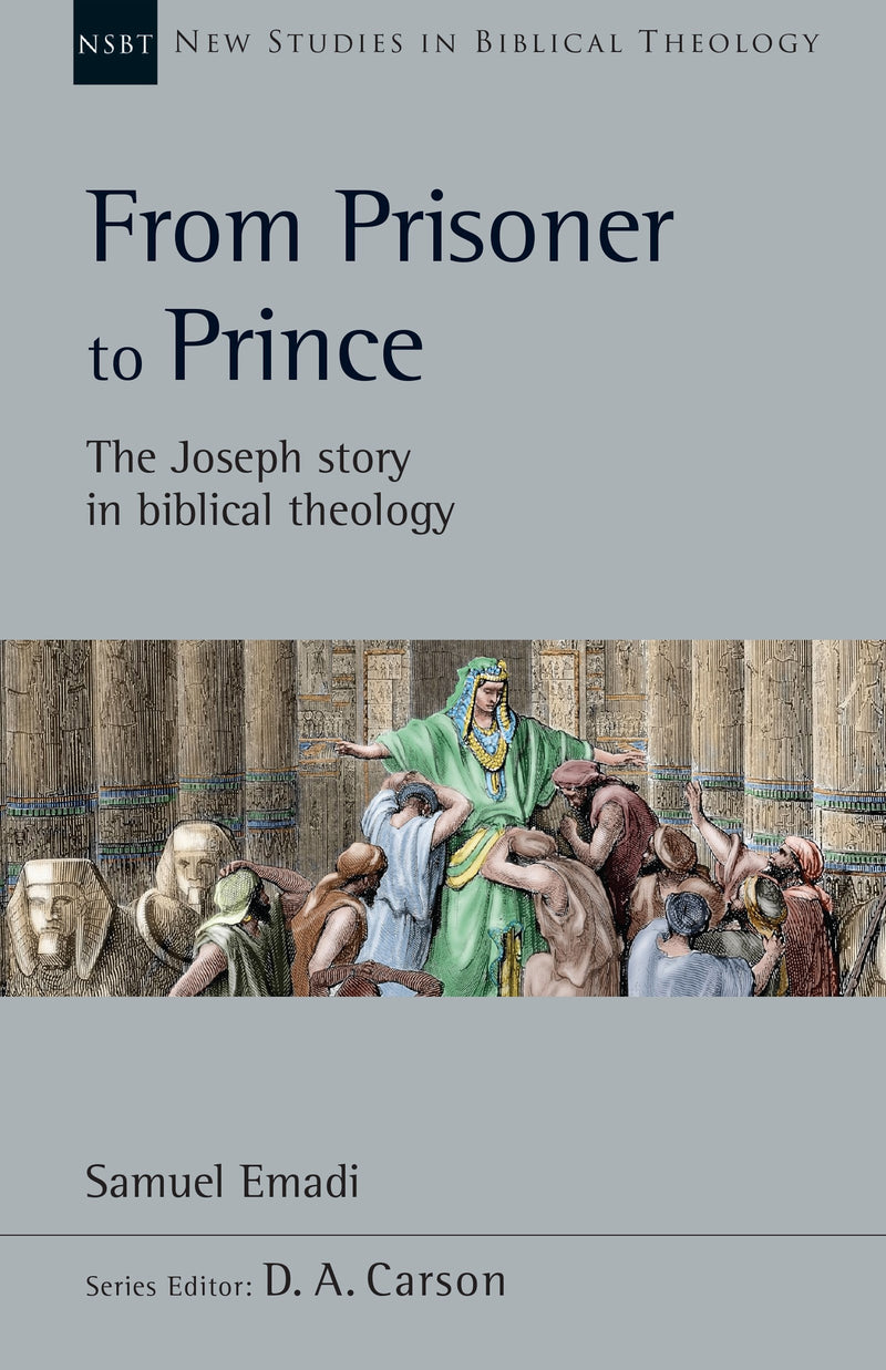 From Prisoner To Prince (New Studies In Biblical Theology)