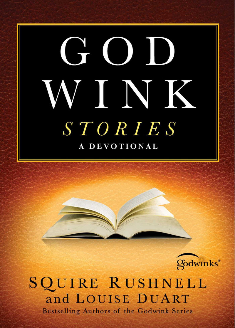 Godwink Stories: A Devotional (Godwinks