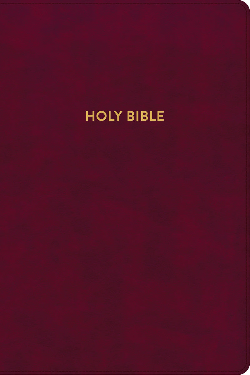 KJV Rainbow Study Bible-Burgundy LeatherTouch Indexed