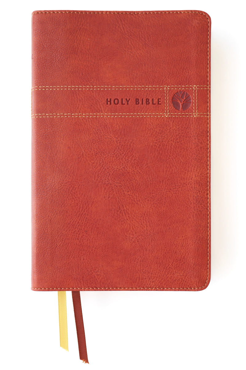 NIV Men's Devotional Bible (Comfort Print)-Brown Leathersoft