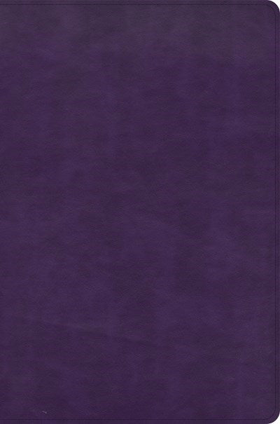 CSB Giant Print Reference Bible-Plum LeatherTouch Indexed