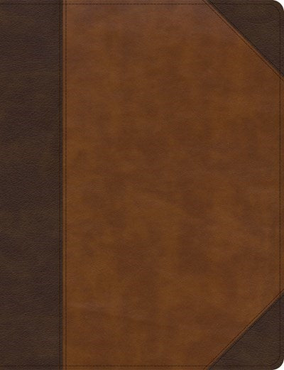 KJV Notetaking Bible/Large Print Edition-Brown/Tan LeatherTouch