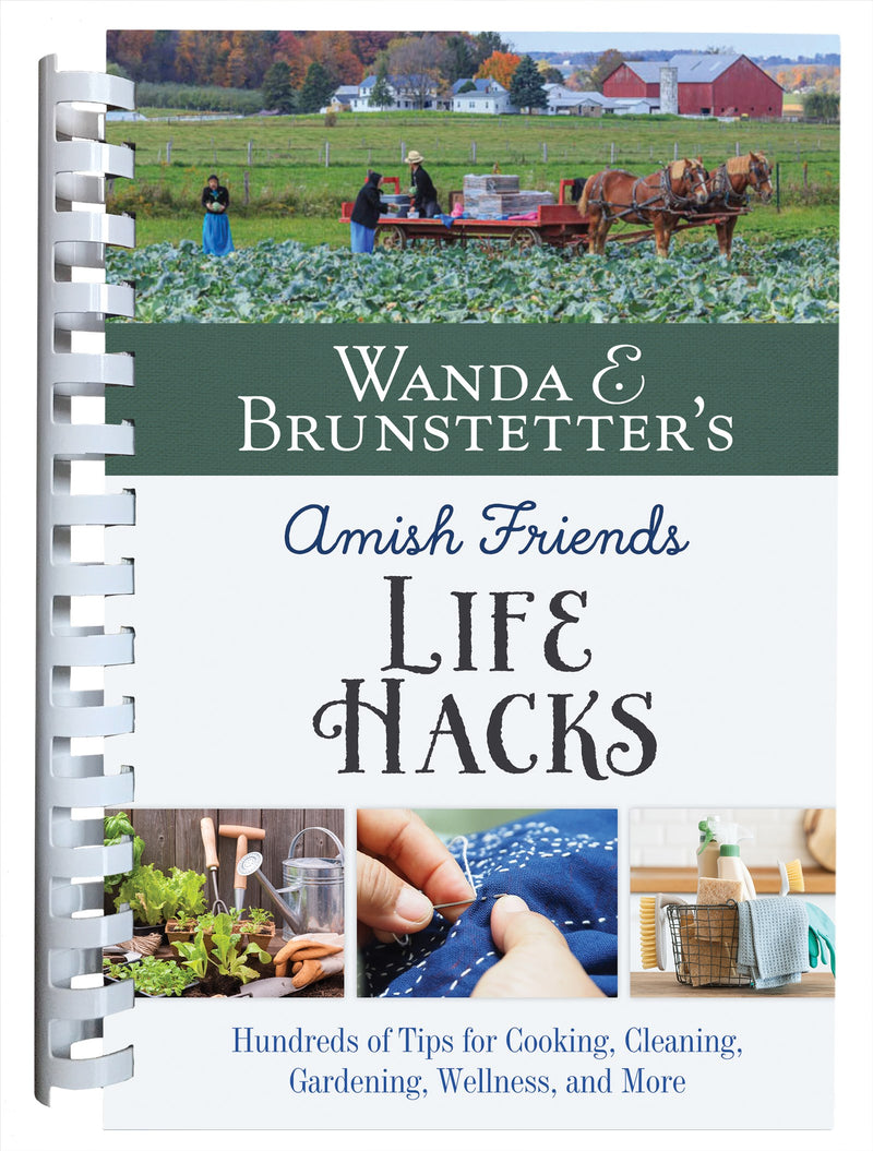 Wanda E. Brunstetter's Amish Friends Life Hacks