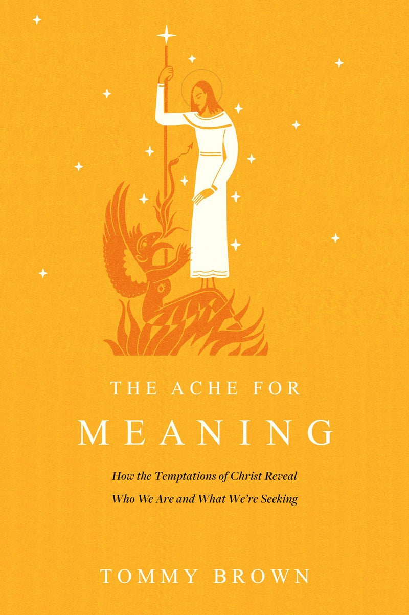 The Ache For Meaning