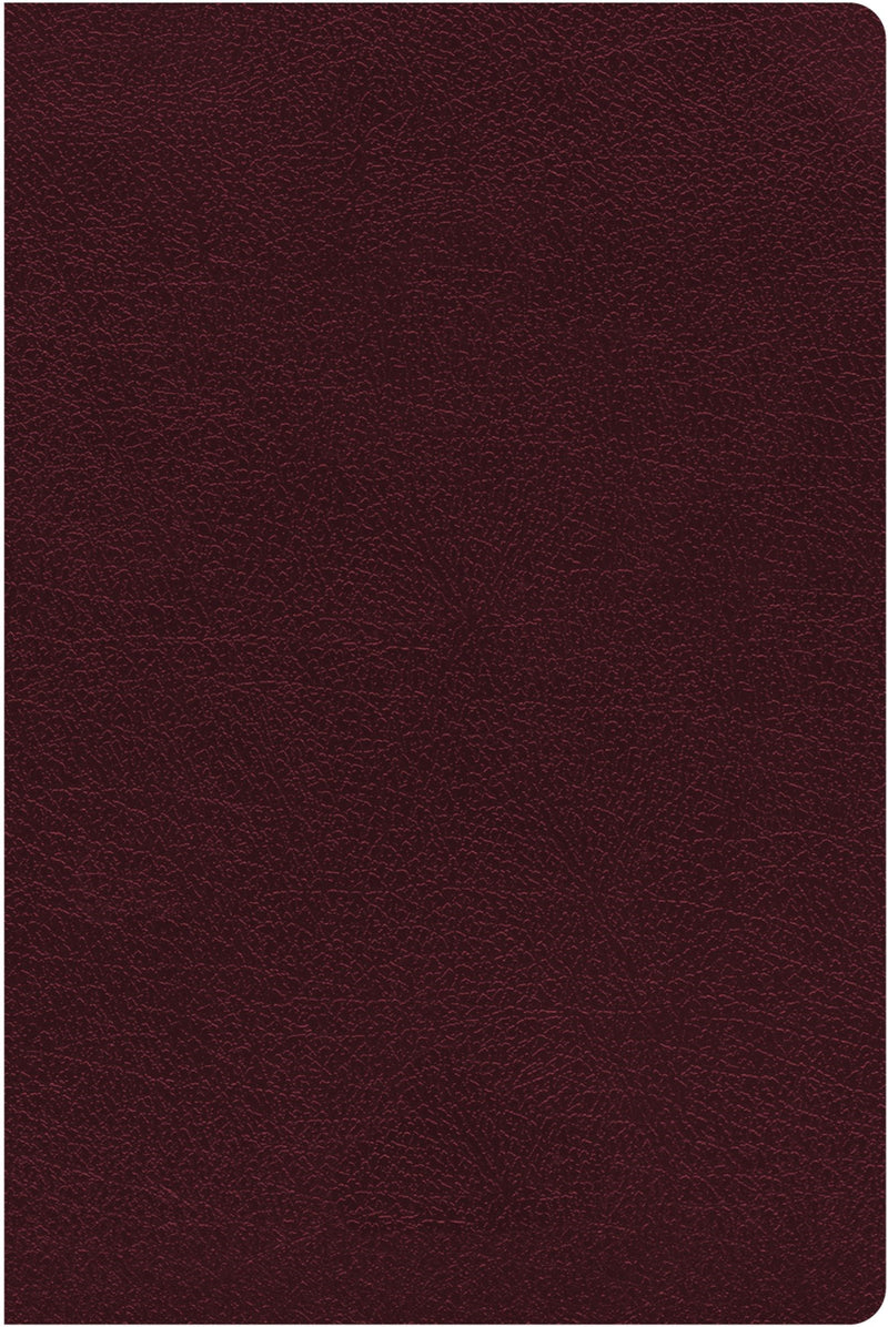 NIV Giant Print Reference Bible (Comfort Print)-Burgundy Bonded Leather Indexed