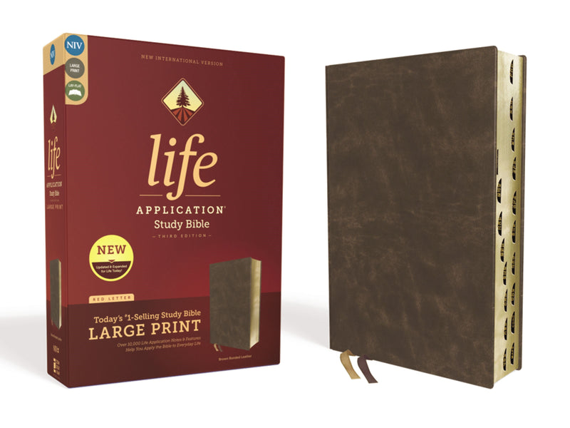 NIV Life Application Study Bible/Large Print (Third Edition)-Brown Bonded Leather Indexed