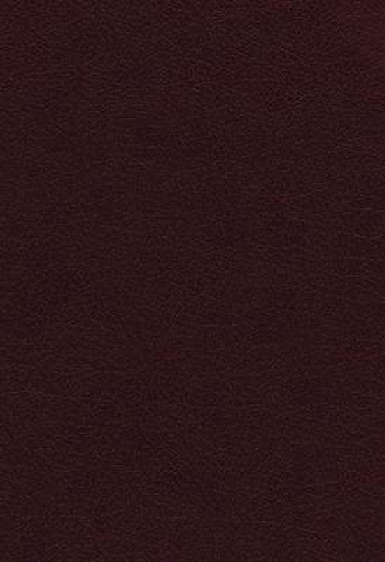 Vines expository bible Burgundy