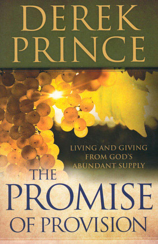 The Promise of Provision: Living and Giv