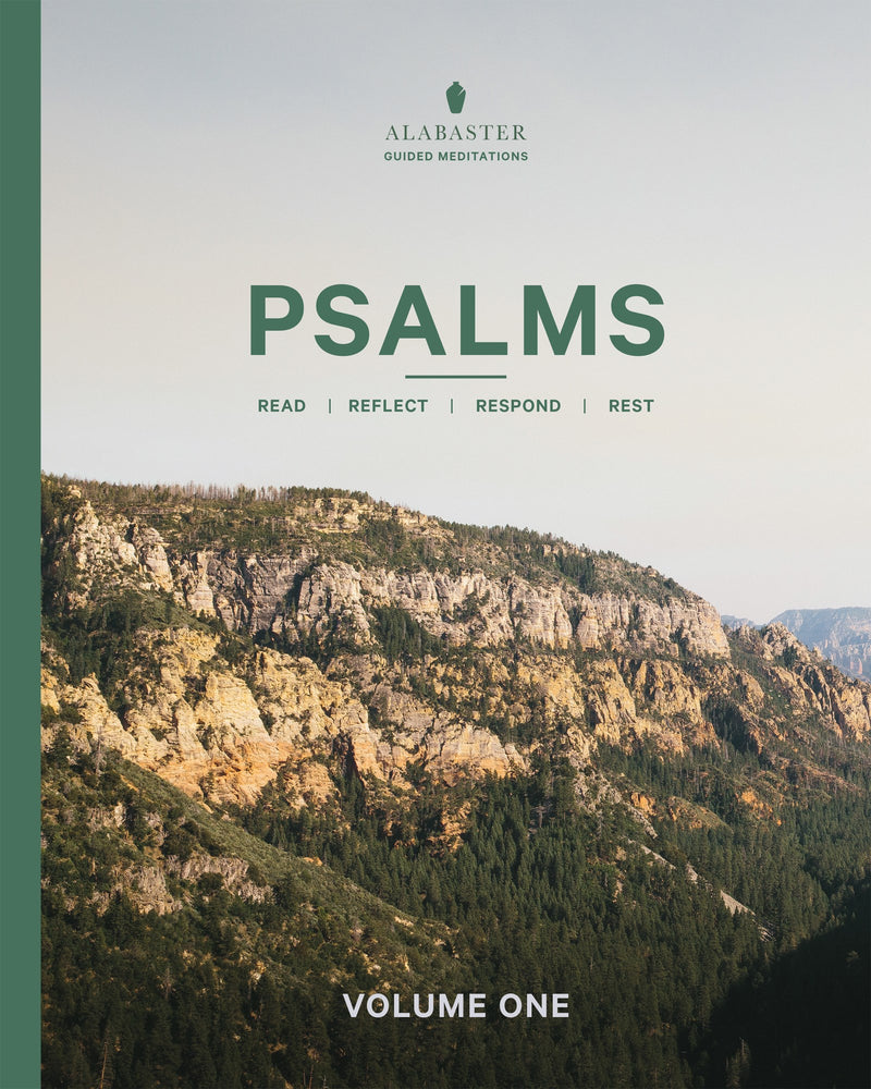 NLT Psalms Volume One (Alabaster Guided Meditations)-NLT-Softcover