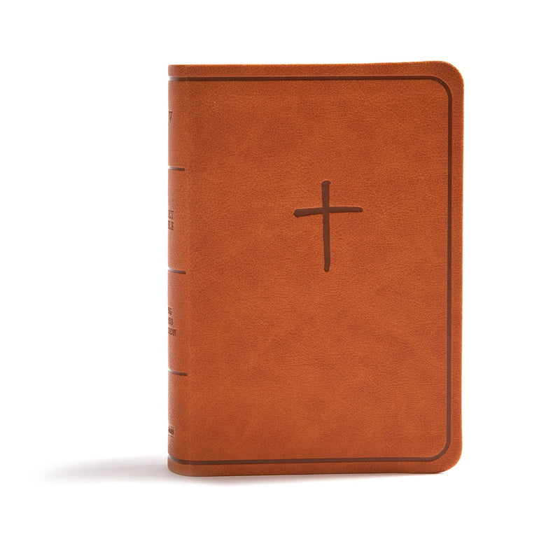 KJV On-The-Go Bible-Ginger LeatherTouch