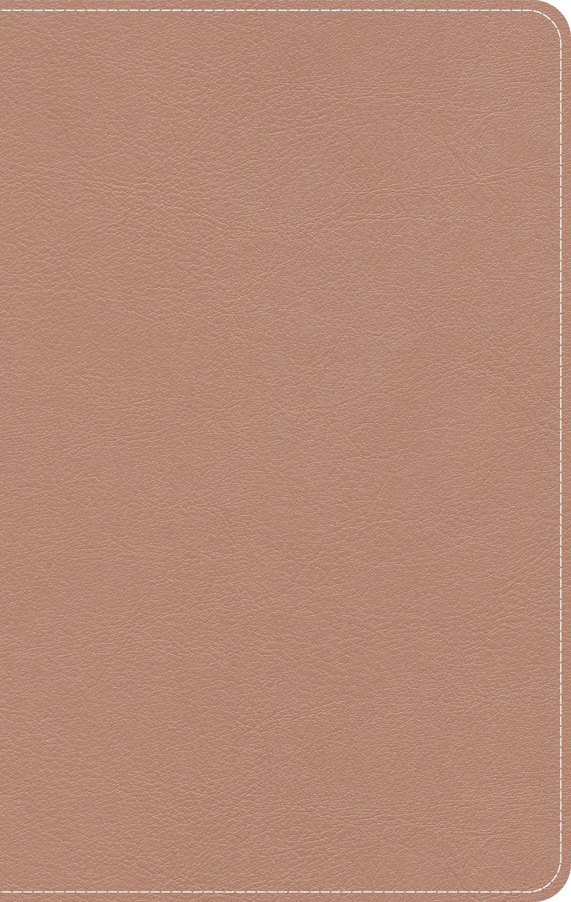 KJV On-The-Go Bible/Personal Size-Rose Gold LeatherTouch