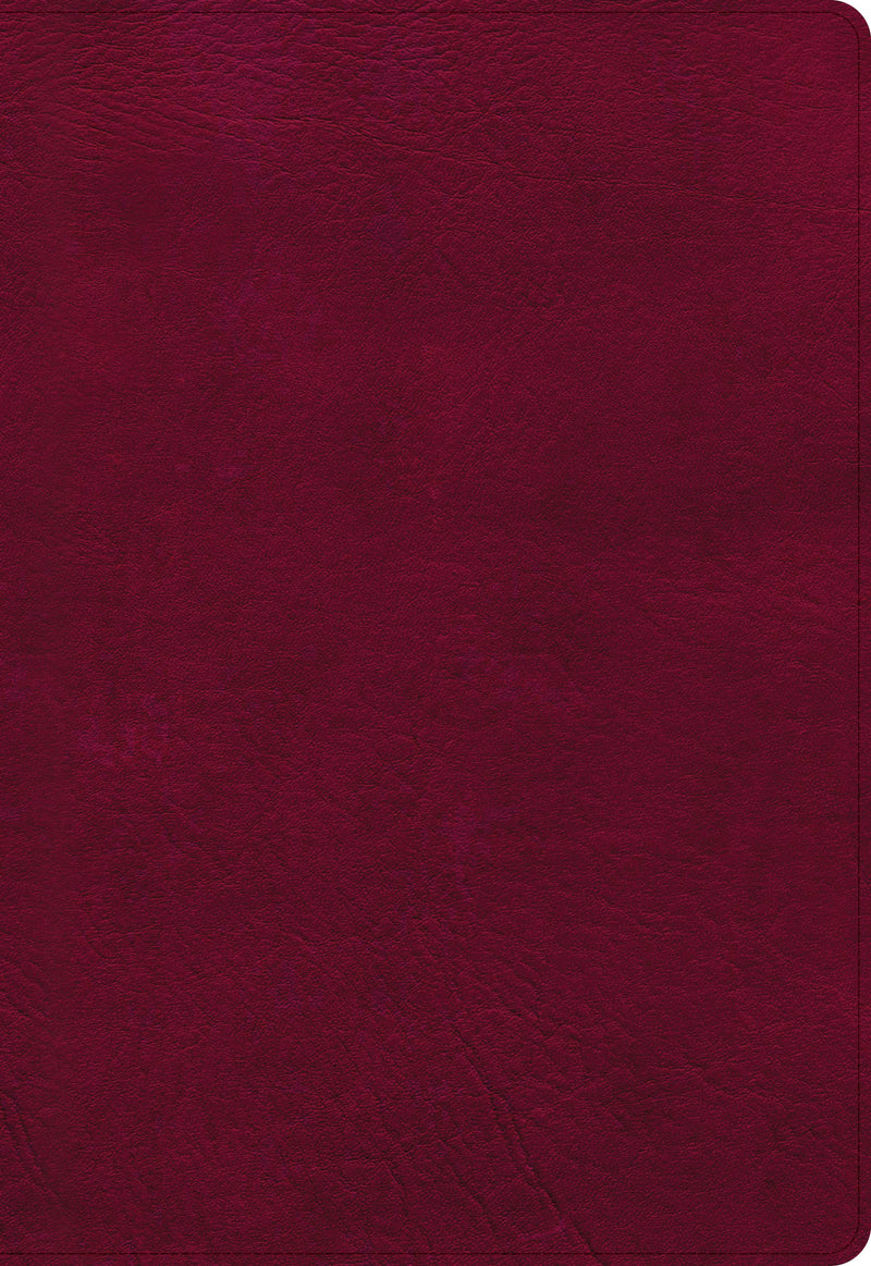 NASB 2020 Super Giant Print Reference Bible-Burgundy LeatherTouch