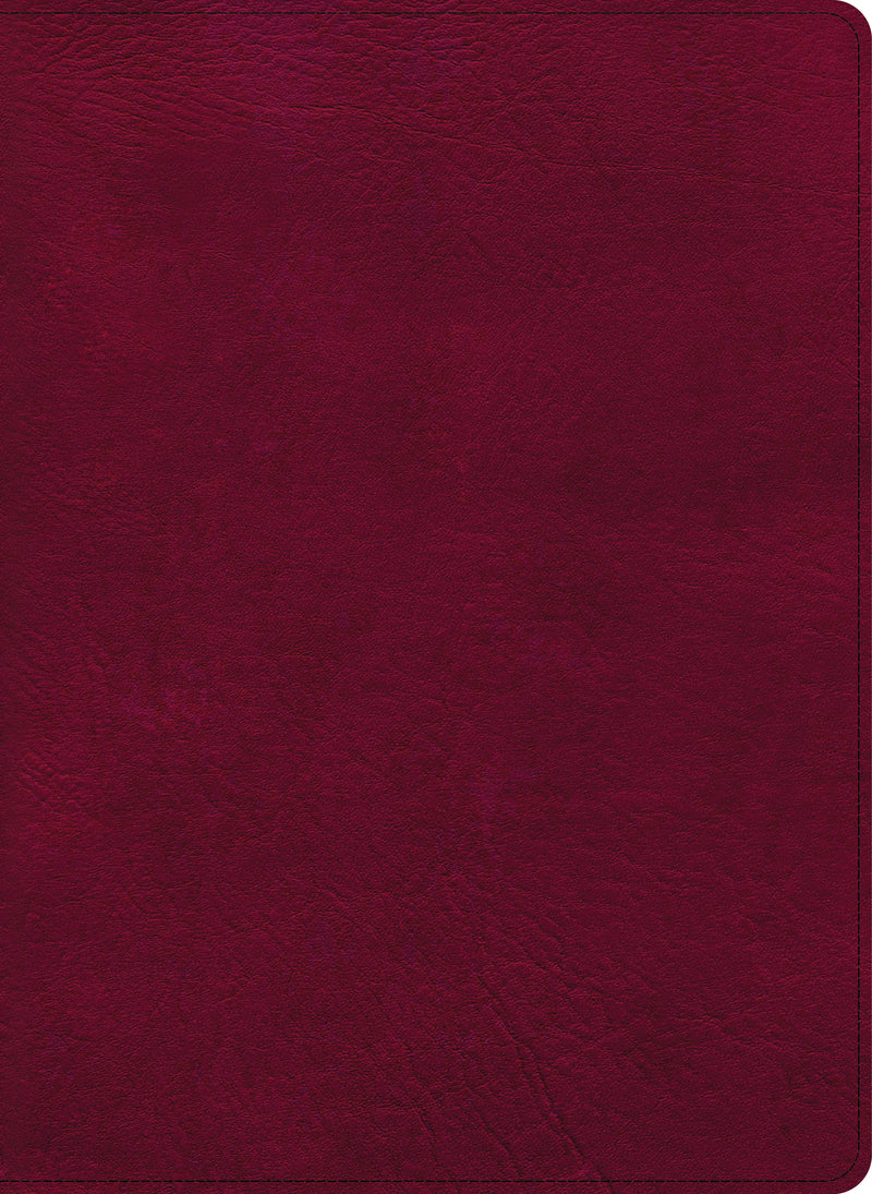 CSB Holy Land Illustrated Bible-Burgundy LeatherTouch