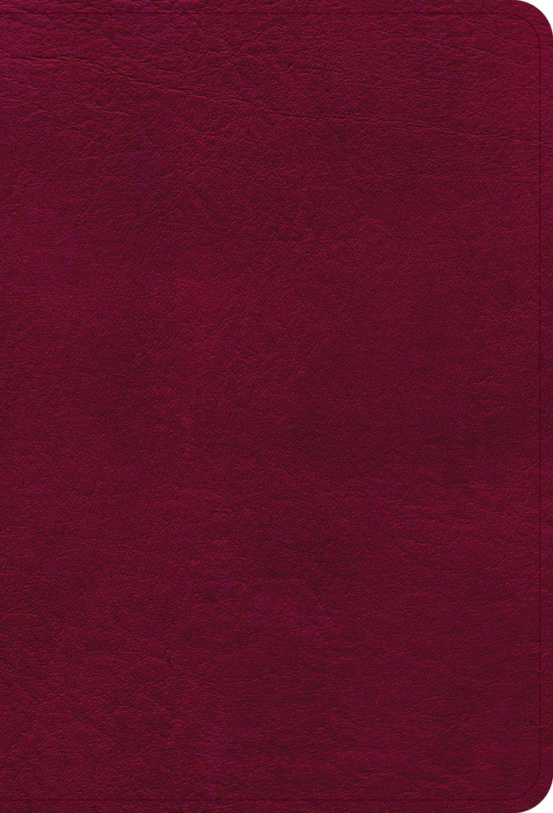 NASB 2020 Large Print Compact Reference Bible-Burgundy Leathertouch