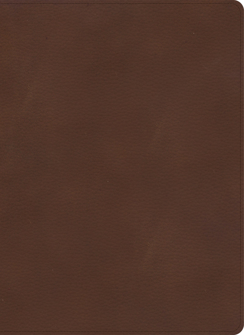 KJV Single-Column Wide-Margin Bible-Brown LeatherTouch