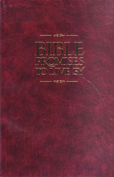 Bible Promises To Live By