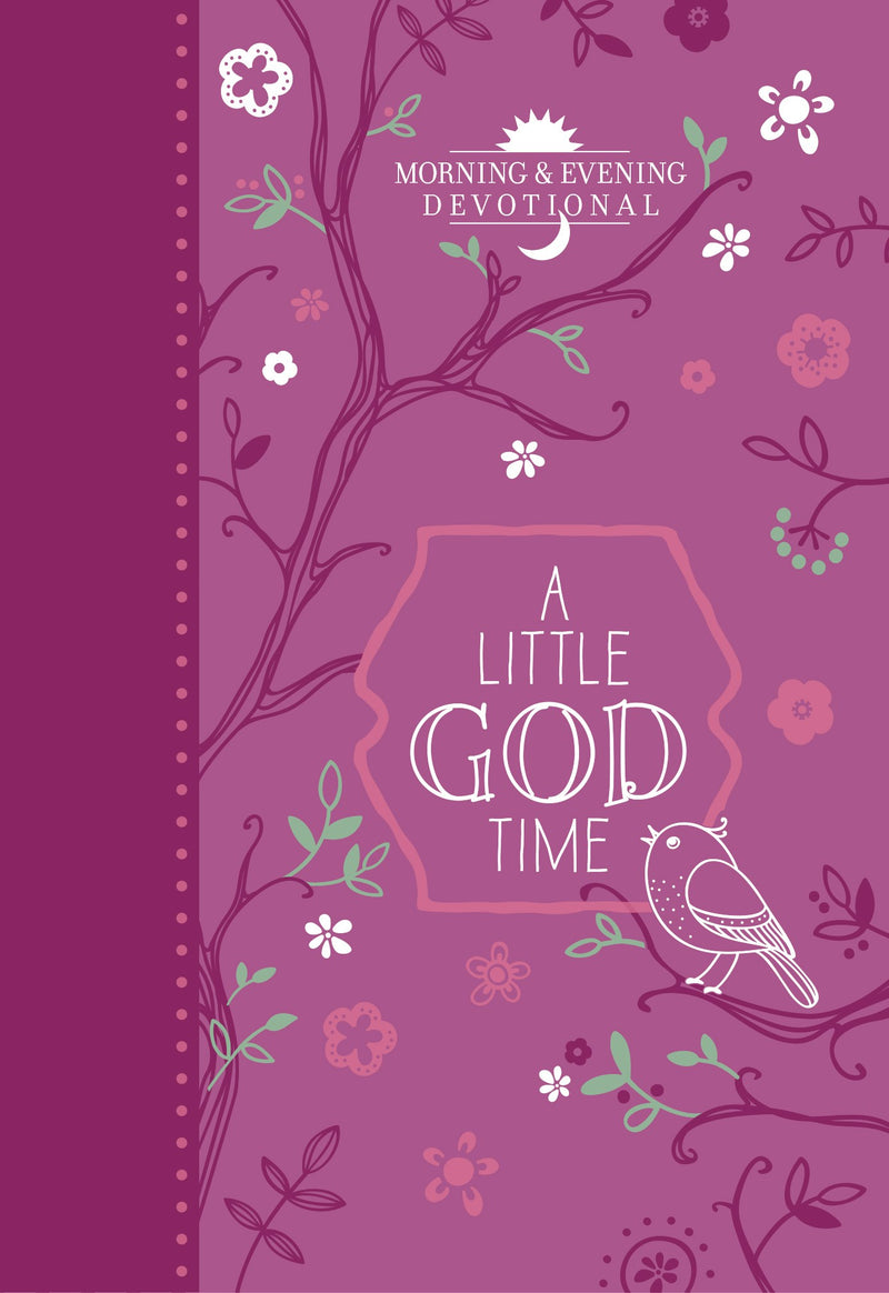A Little God Time for Girls Daily Devotions by Broadstreet