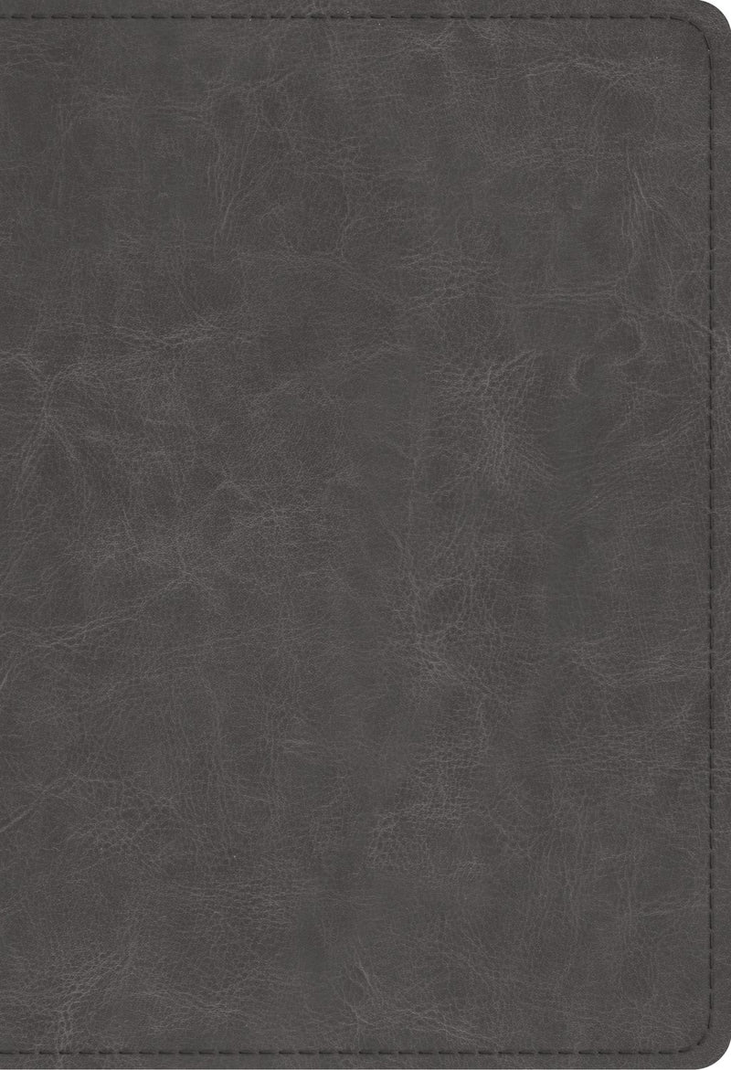 ESV Student Study Bible-Gray TruTone