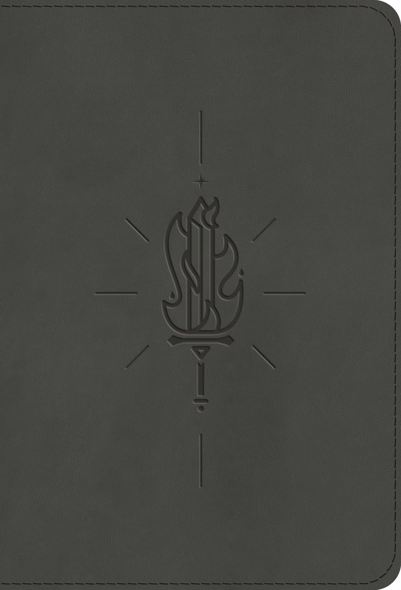 ESV Kid's Compact Bible-Gray Sword Of The Spirit Design TruTone