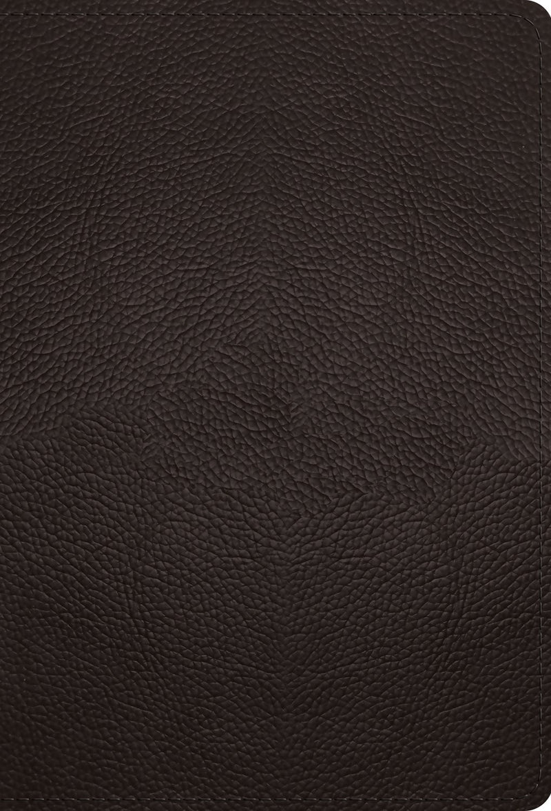 ESV Large Print Compact Bible-Deep Brown Buffalo Leather