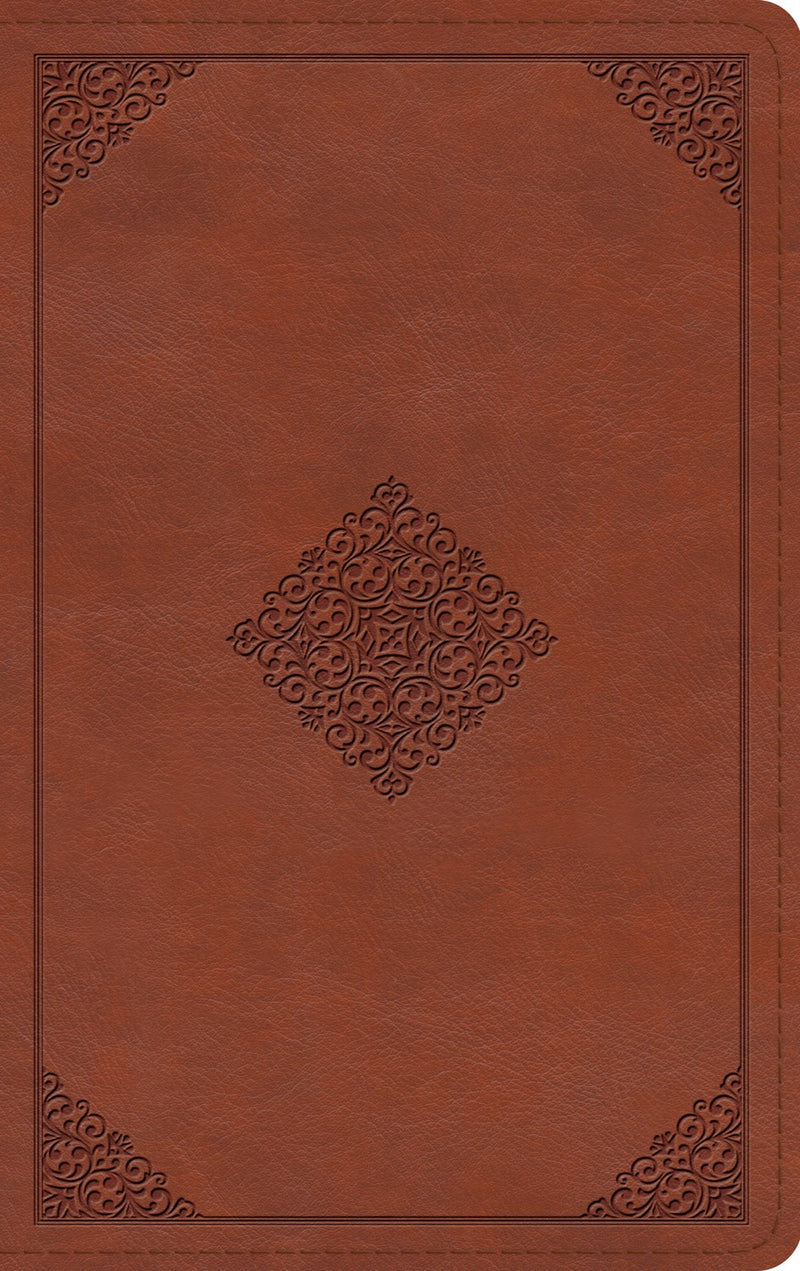 ESV Thinline Bible-Terracotta Ornament TruTone