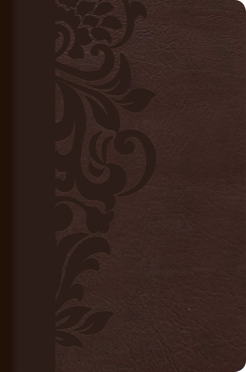 Span-RVR 1960 Study Bible For Women (Biblia de Estudio Para Mujeres)-Brown LeatherTouch