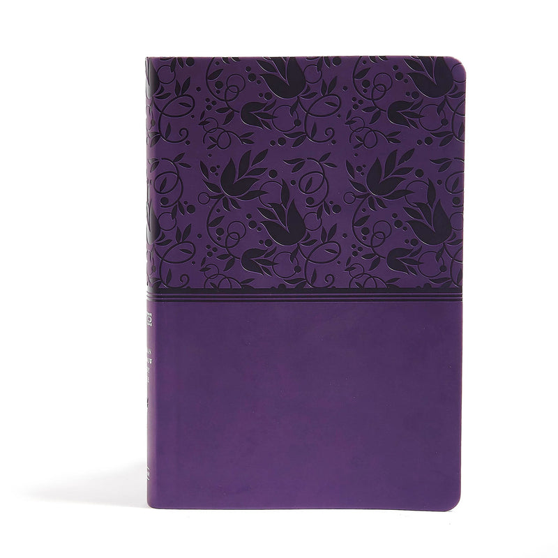 NIV Holman Rainbow Study Bible-Purple Leathertouch