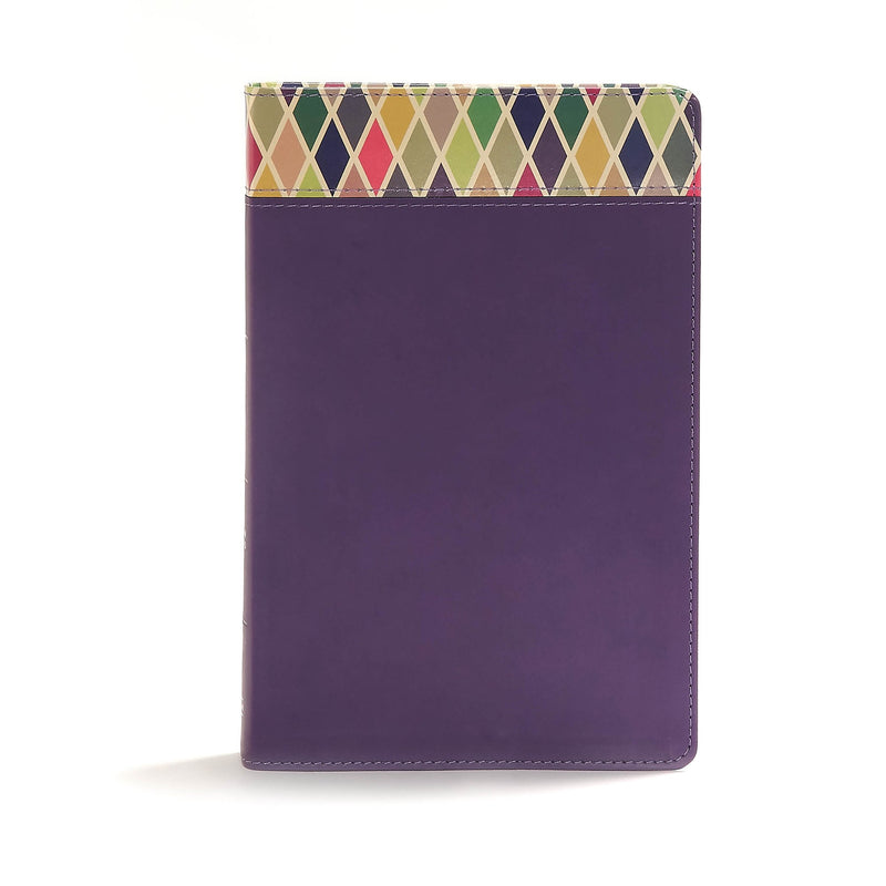 CSB Rainbow Study Bible-Purple LeatherTouch