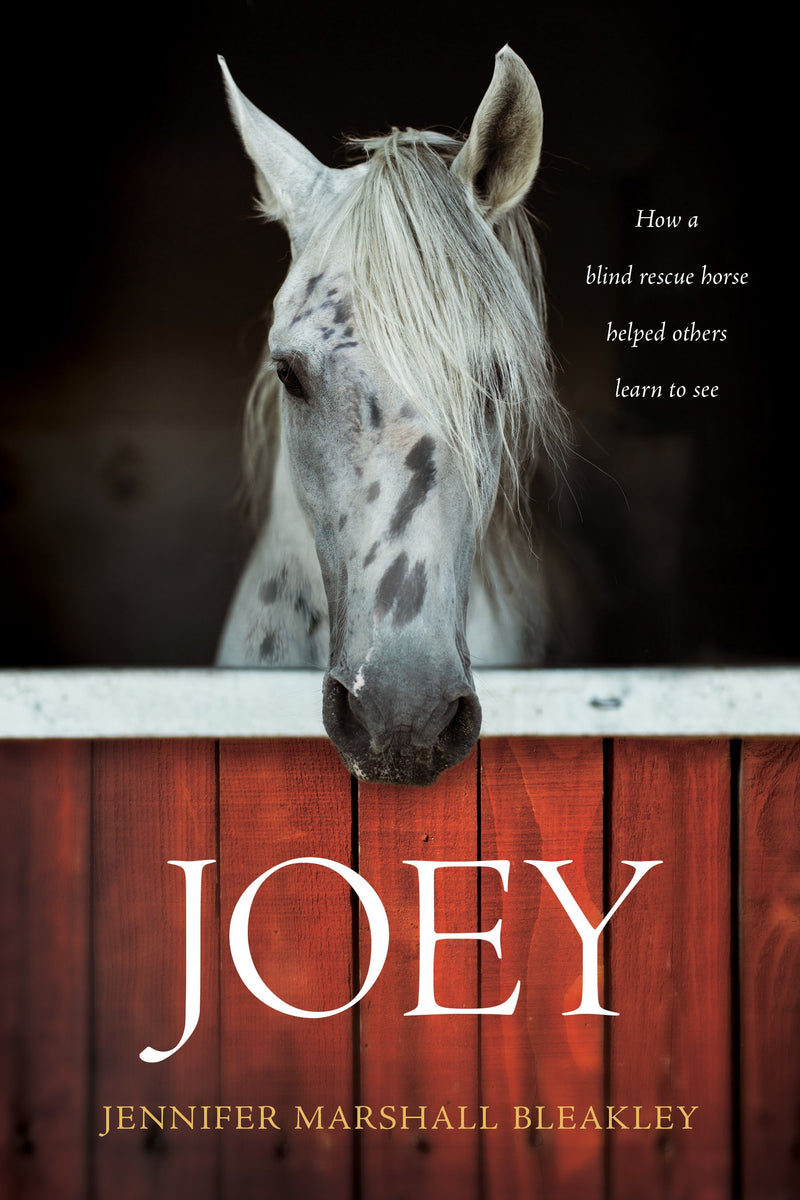 Joey-Softcover