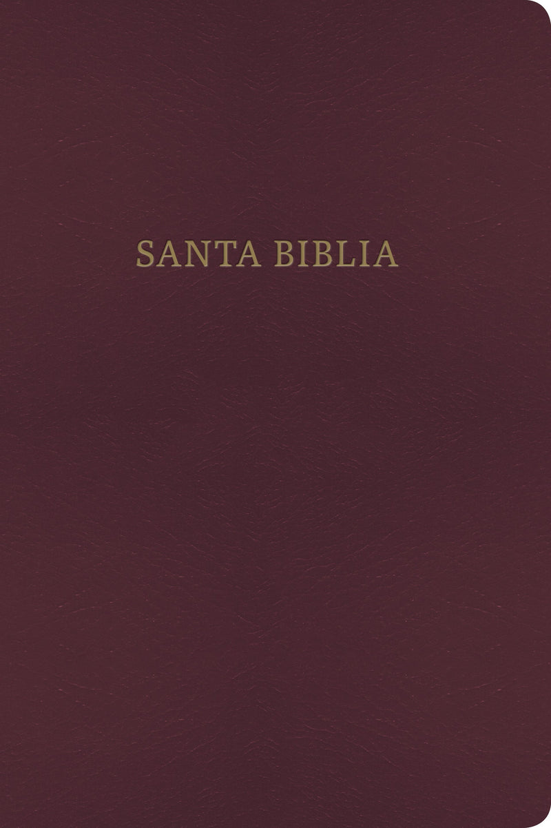 Span-RVR 1960/KJV Bilingual Bible-Burgundy Imitation Leather