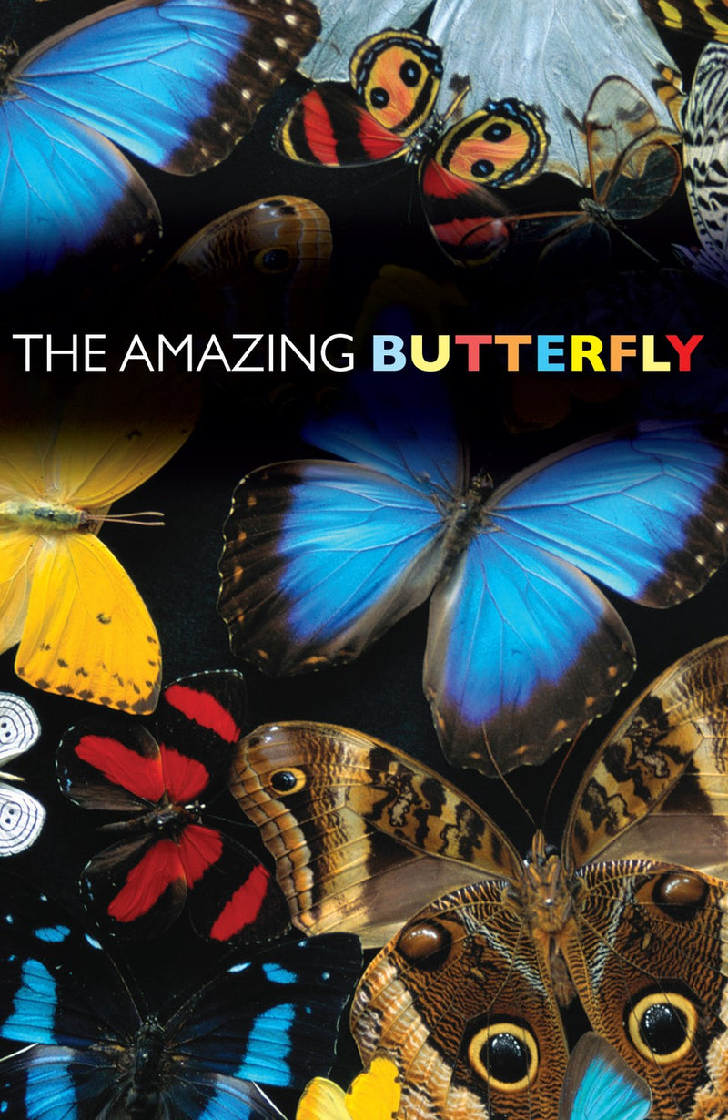 Tract-The Amazing Butterfly (NIV) (Pack Of 25)